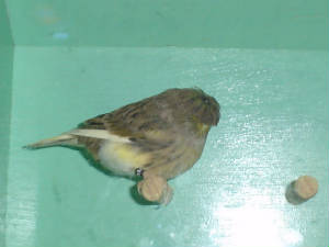 dsc01294.jpg