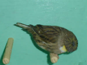 dsc01326.jpg