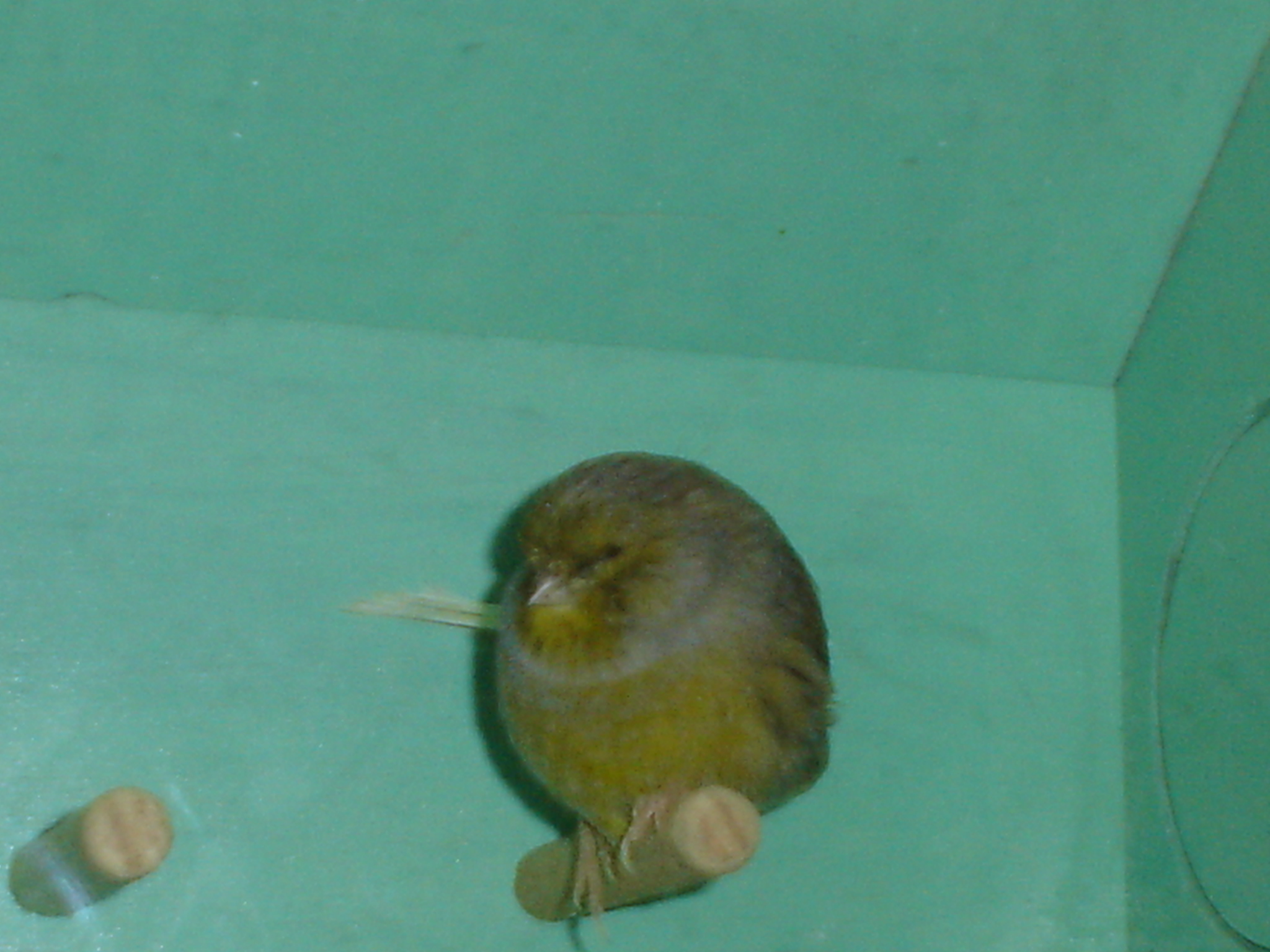 dsc01282.jpg